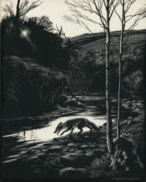 geritsel:Dernys Watchkins Pickford - Book Illustrations for VIX, The Story of a Fox Cub, 1960