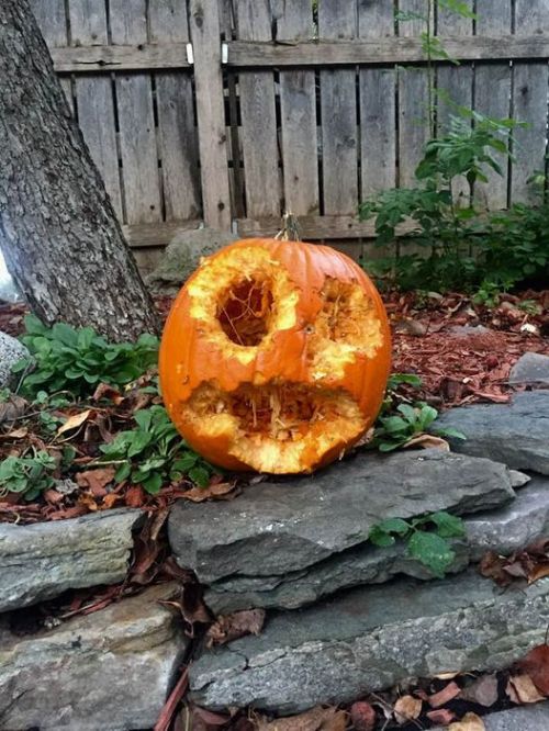 vbartilucci:  Instead of carving the jack-o-lantern