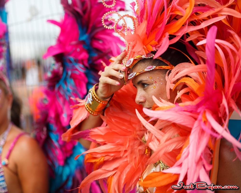 peopleofbajanheritage:Grand Kadooment 2016 (Barbados)