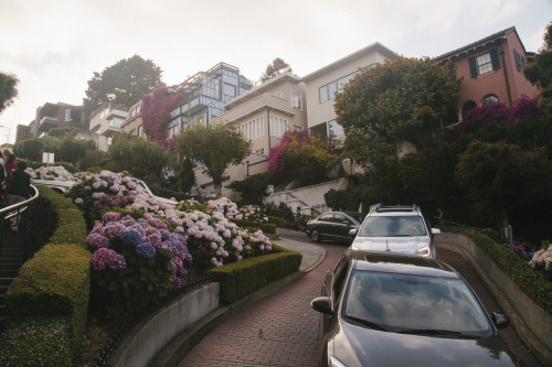 darthlader: Lombard StreetSan Francisco, adult photos