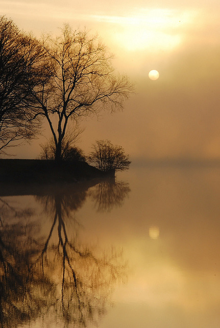 Foggy Reflections by *Early Riser* on Flickr.