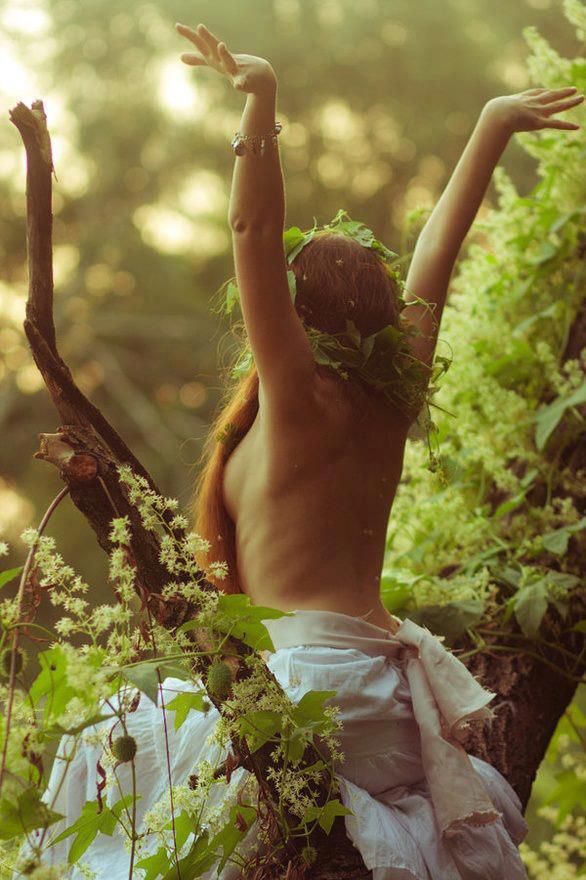 “As full of spirit as the month of May, and as gorgeous as the sun in Midsummer.”