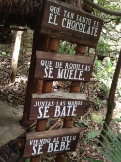 limon-14:ChocolateXcaret Quintana Roo, México.
