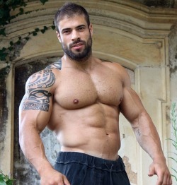 Muscular, sexy and stunningly handsome