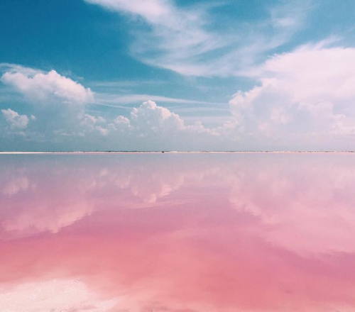mymodernmet:Naturally Pink Lagoon in Mexico Is Like a Real-Life Fairy Tale Dreamscape