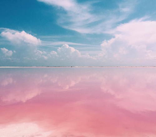 fatbengal:  bobbycaputo:   Naturally Pink Lagoon in Mexico Is Like a Real-Life Fairy Tale Dreamscape