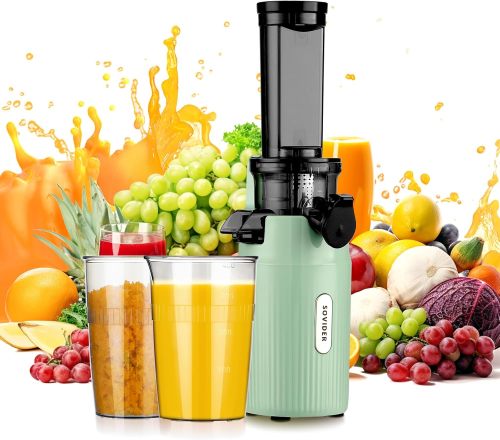 Make Perfect Juice Every Time Expert Tips On Electrical Blender