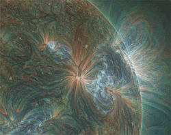 spaceplasma:  The upper atmosphere of the Sun is dominated by plasma filled magnetic loops (coronal loops) whose temperature and pressure vary over a wide range. The appearance of coronal loops follows the emergence of magnetic flux, which is generated
