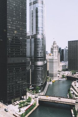 envyavenue:  Chicago, complete photo and