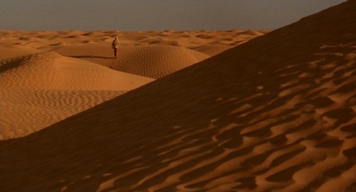 peliculasynadamas:The English Patient (1996), Anthony Minghella