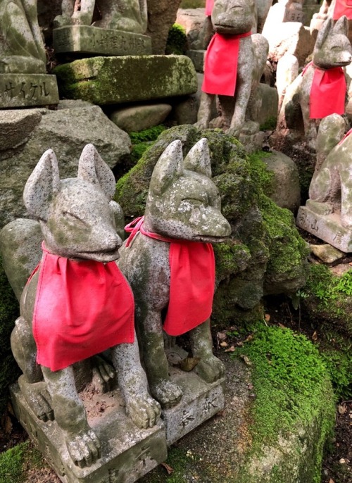 Hill of Foxes - Inari Betsuin Temple Akasaka (豊川稲荷東京別院) Toyokawa by kobalt