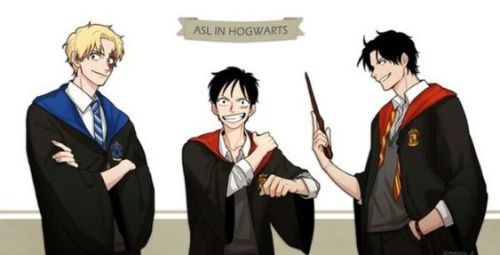 onepiece-mood - One Piece x Hogwarts