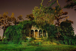 npr:  nevver:  American gothic, NOLA by streetlight