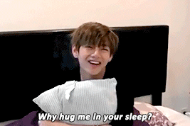 booptae:a baby koala even when he is sleeping