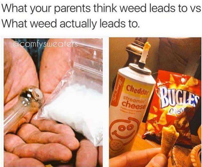 upjohn55: la-diablareina:  I showed this to my mama and she rolled her eyes at me