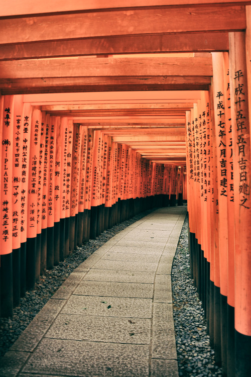 Journey to Japan: Exploring Kyoto Went to Fushimi Inari Taisha, it’s the head shrine of Inari 