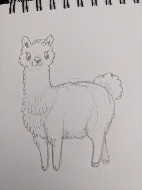 I wasn&rsquo;t sure what to doodle today, but then I had visions of alpaca&hellip;