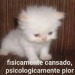 gatoooski:
