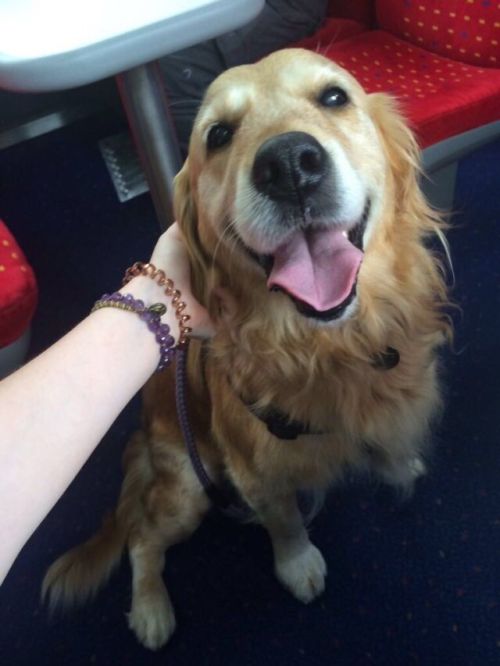 https://lifeunexpurgated.tumblr.com/post/159973414084