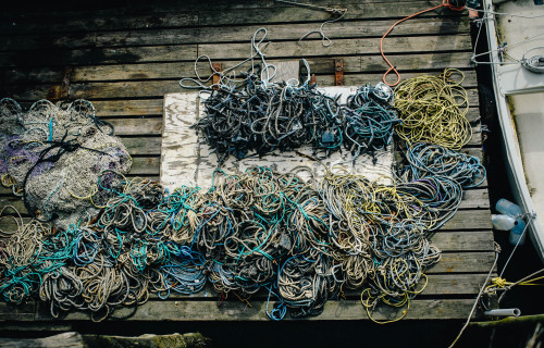 maine state pier // old port waterfront