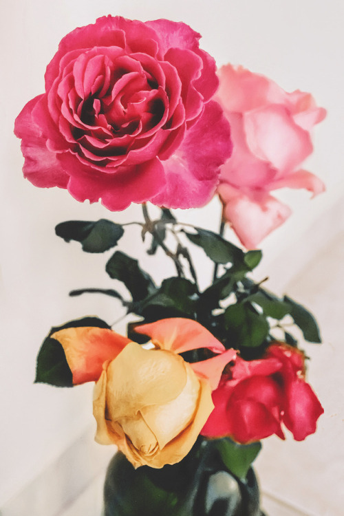 I know that you love roses - this is for you