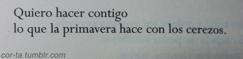 cor-ta:   Seguir leyendo