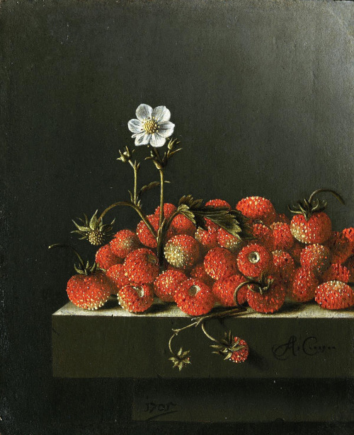 flemishgarden: Adriaen Coorte - Still life with wild strawberries 1705 oil on paper mounted on panel