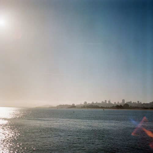 Crissy Field (locals just call it Crissy) is always bustling with tourists, except when you arrive e