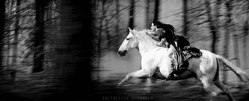 ispeakalchemy:  And that’s how I like to ride.  No holds barred and hell bent for