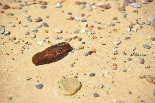 Lake Superior beaches offer a special comfort that only many Michiganders really know.