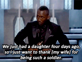papertownsy:Oscars 2017 in Summary