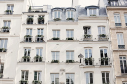 Chats-Fluorescents:  Hôtel Relais Saint-Germain In Paris By Paris In Four Months