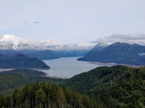 Stave Lake, British Columbia [4608x3456][OC]
