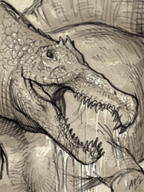 Hi there!Warm up sketch: Spinosaurus (30 mins)
