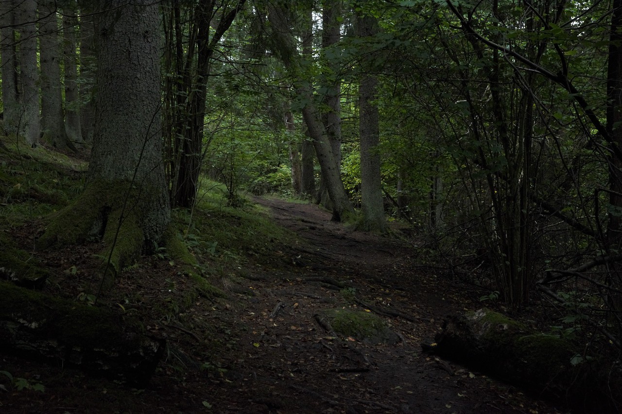 morganathewitch:Living on the hillside~