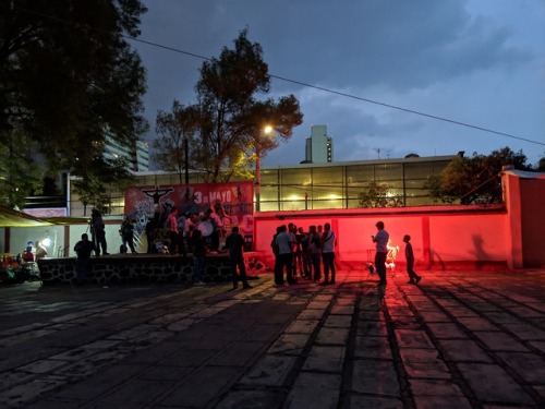 Ayer regresando por otra ruta a la casa, caminé por un rumbo desconocido y para mí sor