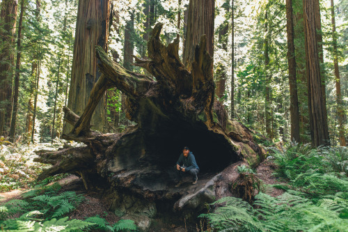 brianfulda:  On Thursday and Friday, I road tripped up to Redwood National Park and the surrounding areas with my good buddy Adam. Being in the presence of some of the tallest and oldest trees in the world is incredibly humbling! Some of the trees we
