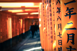 dreams-of-japan:  Tunnel of fire by Marquisde on Flickr.