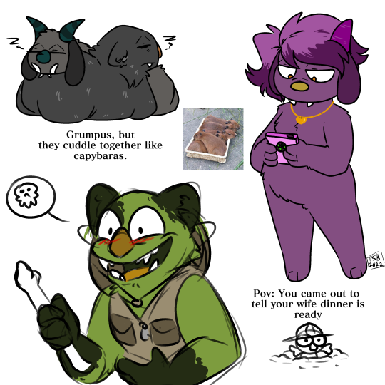 The Orginal Gay Frog Mob Squad — What do you prefer the mega