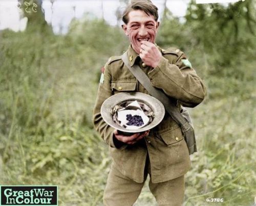 After the capture of Bourlon Wood in October 1918, a Canadian soldier (102nd Battalion, 11th Brigade