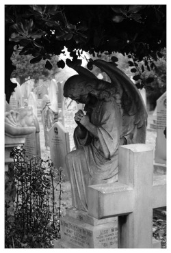 taphophilia:  Cemetery - Birkenhead 