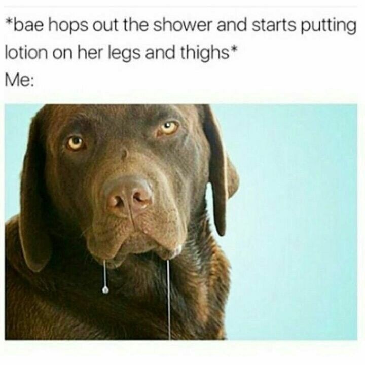 adultxxxhumor:  zakkvt:  Memes and Chill?  Check out the greatest range of adult