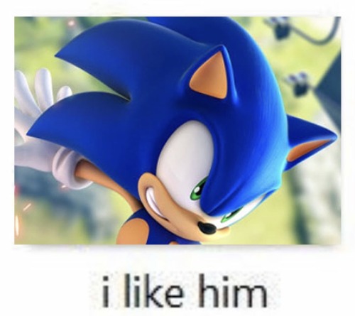 no i will not shut up about sonic