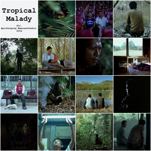 Tropical Maladydirected by Apichatpong Weerasethakul, 2004