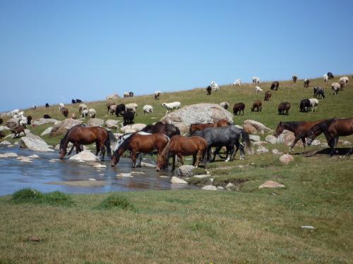 nuptse6:Kirghizistan (near Issik Kul)
