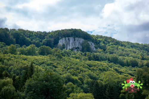 littlefroganddaddy: Summer Vacation 2020, Part 2At the TopToday we did a small hike to the top of a 