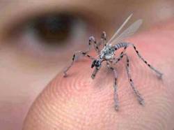 afortunateson2:  Micro-Drones Combined With DNA Hacking Could Create A Very Scary Future An insect spy drone for urban areas, already in production, funded by the US Government. It can be remotely controlled and is equipped with a camera and a microphone.