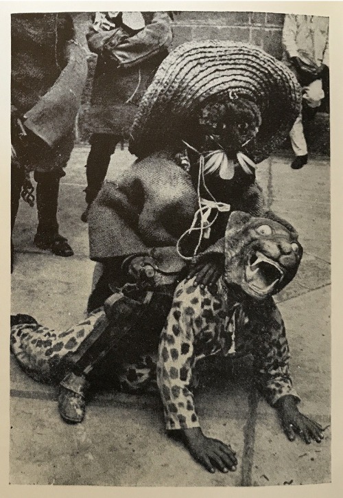 quatermasspitt:“The dance of the tlacocoleros from Chilpancingo, Guerrero [Mexico]; carriers of food