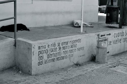 vento-gelido:
“ √
”
