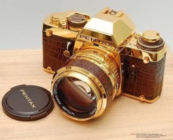 cosmopolitan0001:  pentax gold